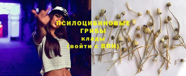 дурь Сясьстрой