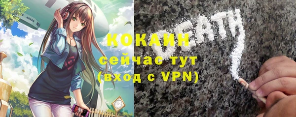 mdpv Богородицк