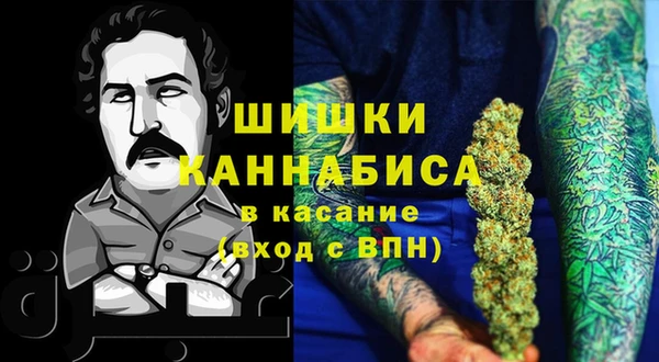 твердый Богданович