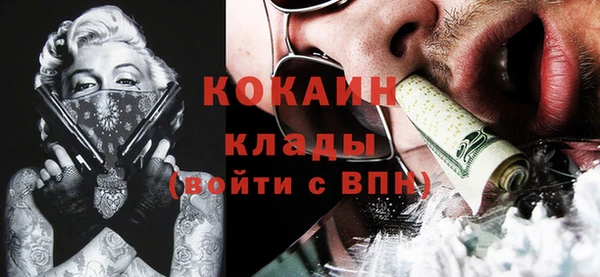 дурь Сясьстрой