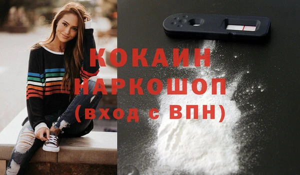 твердый Богданович