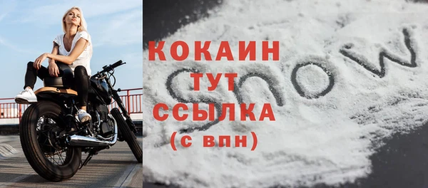 мдпв Тайга