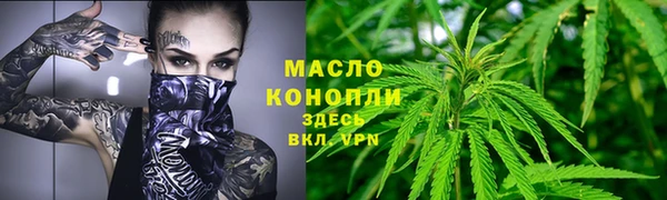 дурь Сясьстрой