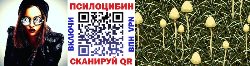 Галлюциногенные грибы Magic Shrooms  закладка  Видное 